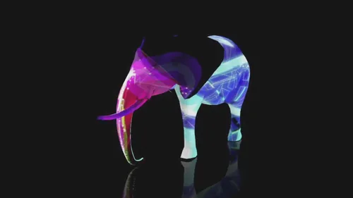 Elephant 360 · 1