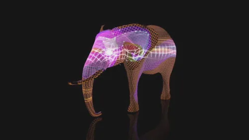 Elephant 360 · 2