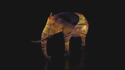 Elephant 360 · 3