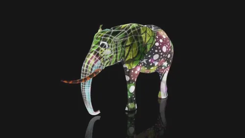 Elephant 360 · 5